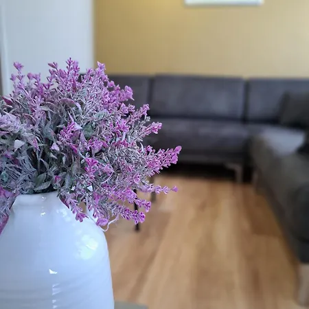 Apartment Pazari Luxury *