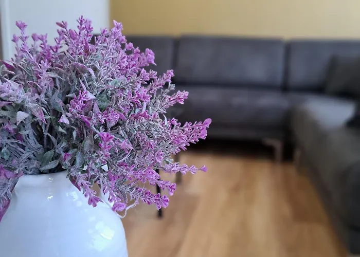 Appartamento Pazari Luxury *